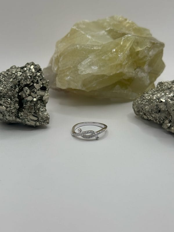 Anillo De Plata