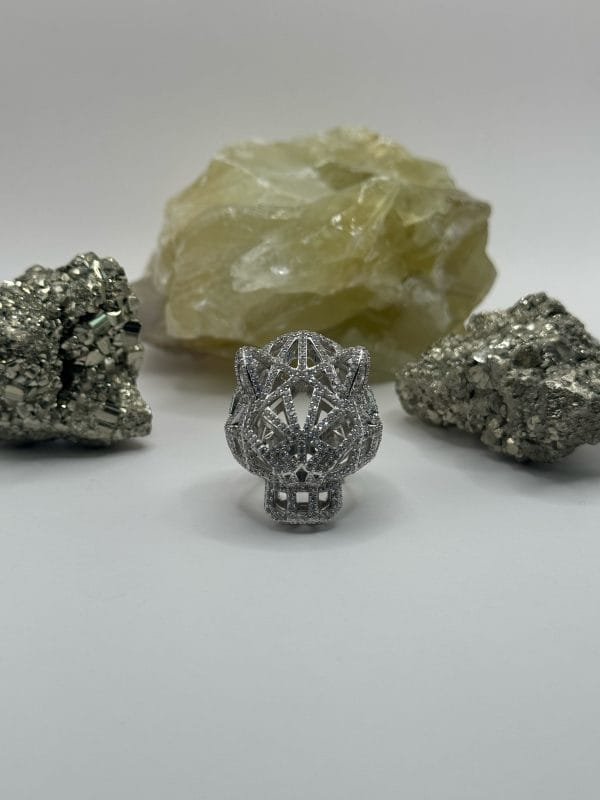 Anillo De Plata - Imagen 2