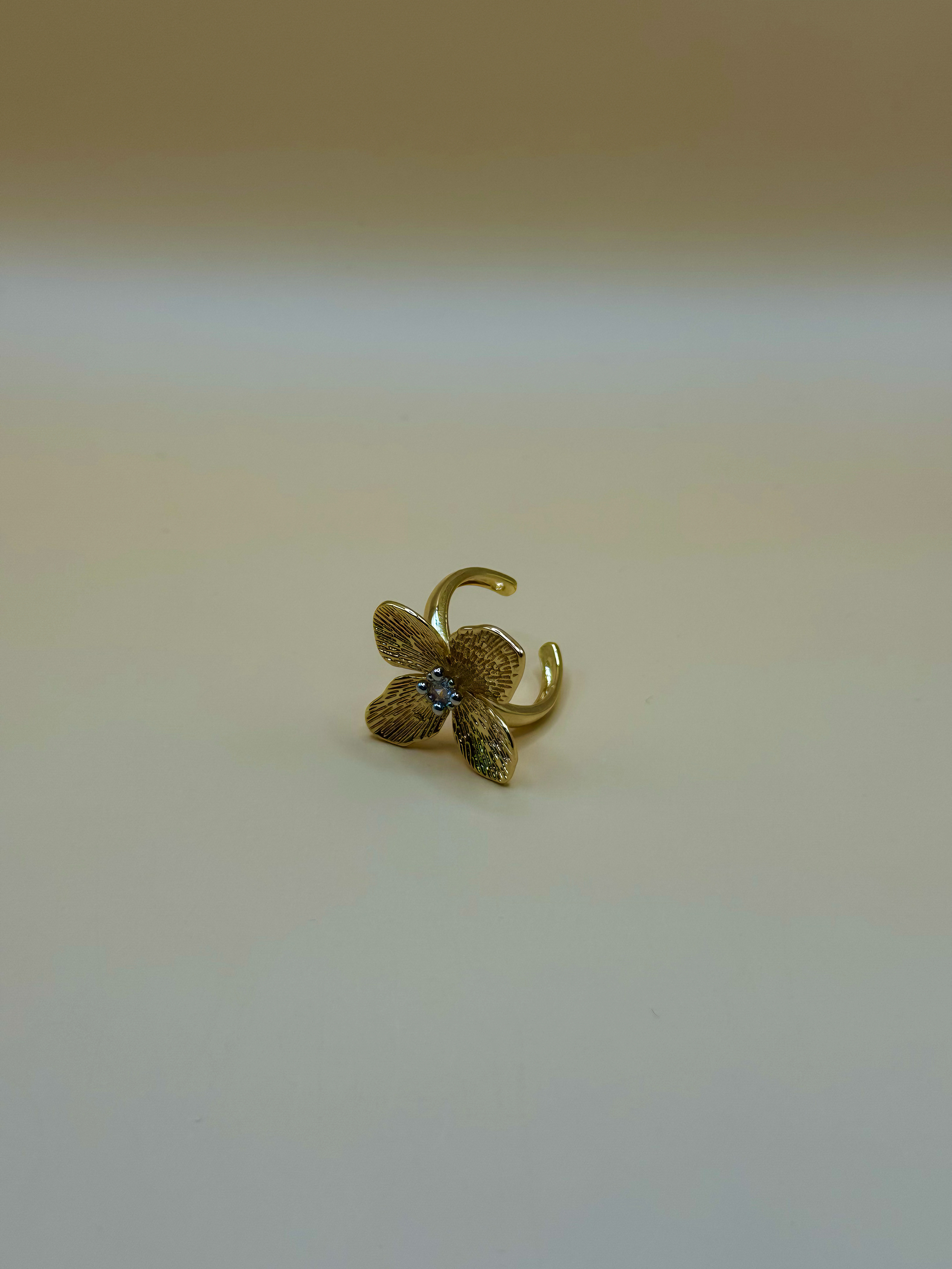 Anillo Flor De Luz
