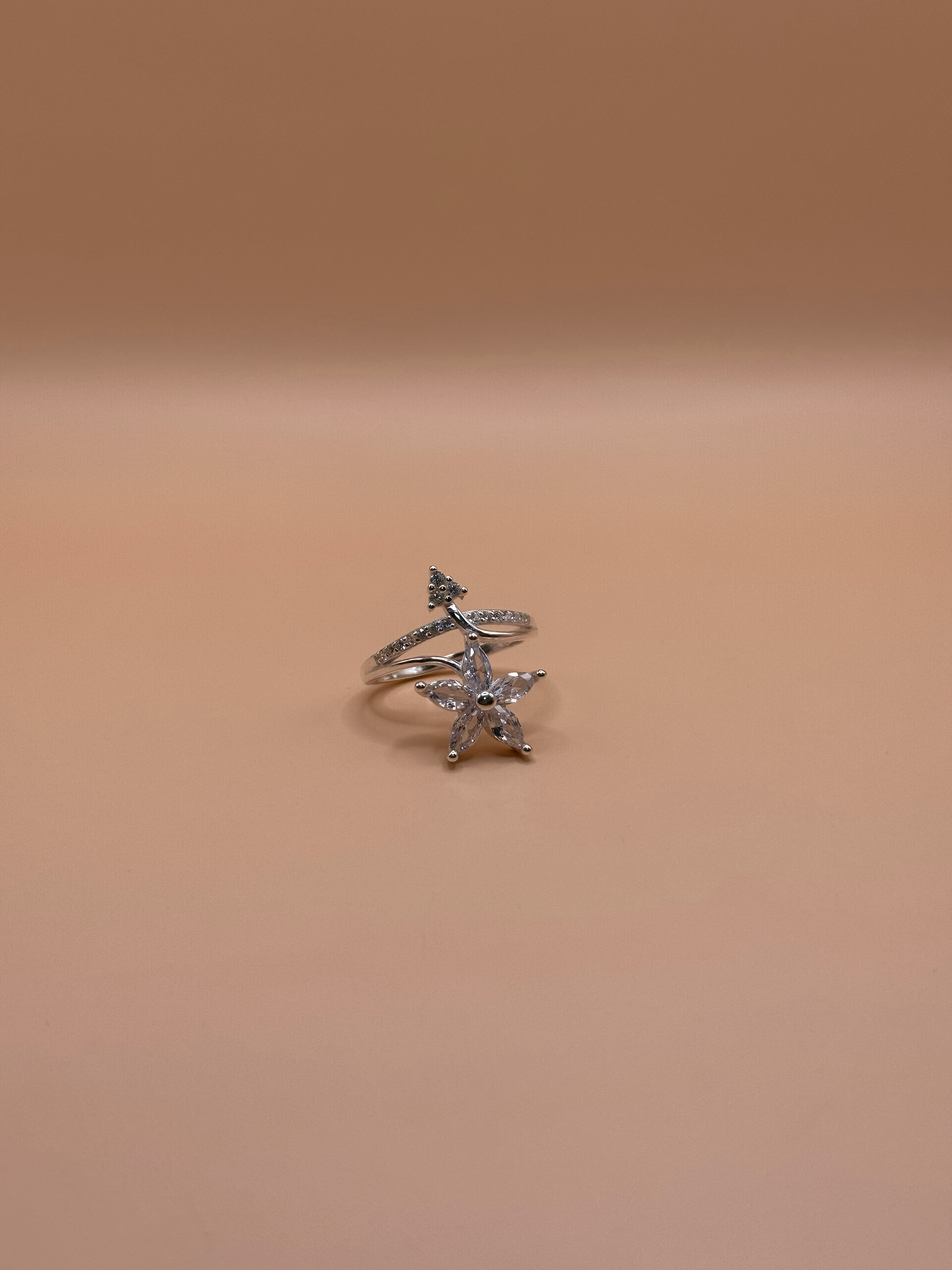 Anillo De Plata
